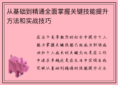 从基础到精通全面掌握关键技能提升方法和实战技巧